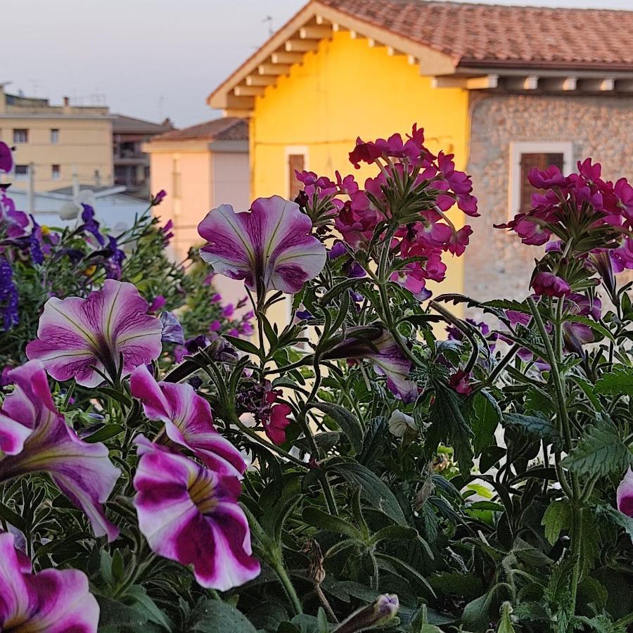 Lovely Casa Paola Villafranca di Verona Exterior foto